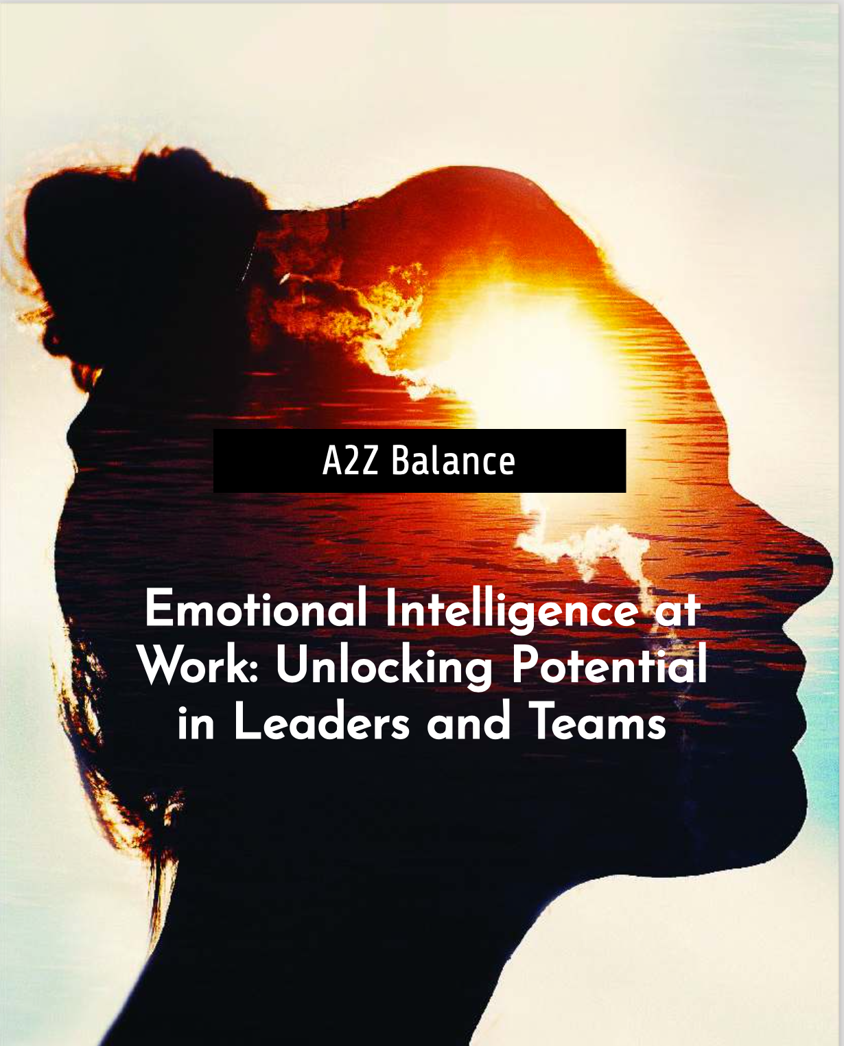 Emotional Intelligence at Work: Unlocking Potential in Leaders and Teams